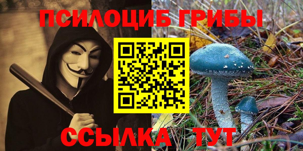 Псилоцибиновые грибы мицелий Бугуруслан